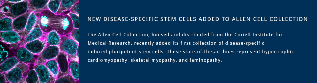 Allen Cell Disease Collection